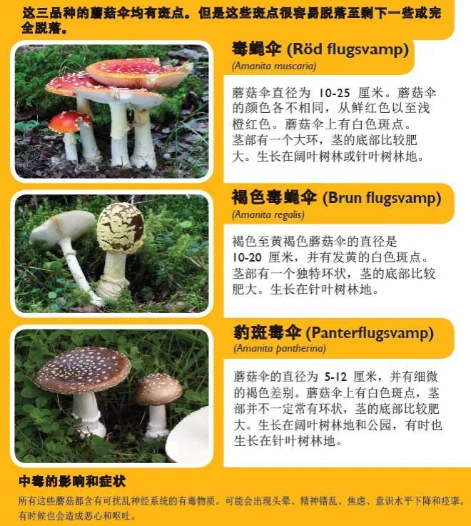 图一