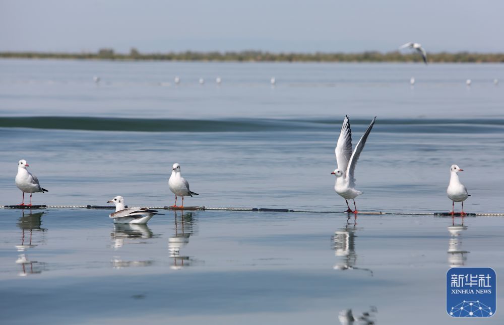 ↑ 这是9月8日拍摄的新疆阿勒泰地区福海县乌伦古湖海上魔鬼城景区景色。