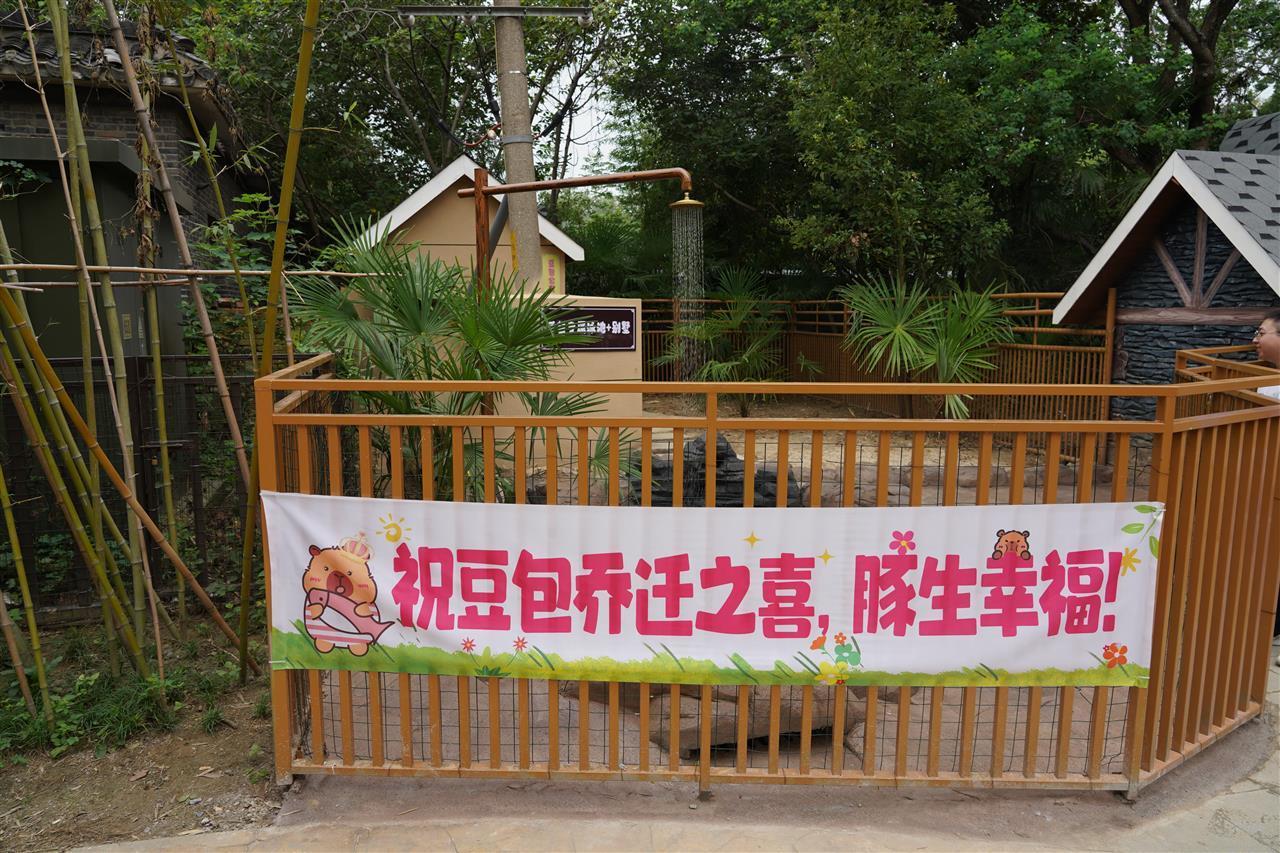 DSC08363.JPG