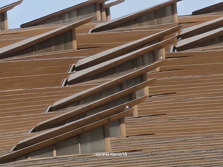 OPPO Reno14实况照片体验 视频能转录全焦段清晰