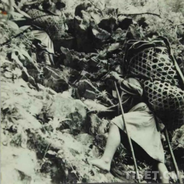 解放前,墨脱群众赤脚徒步地背运物资