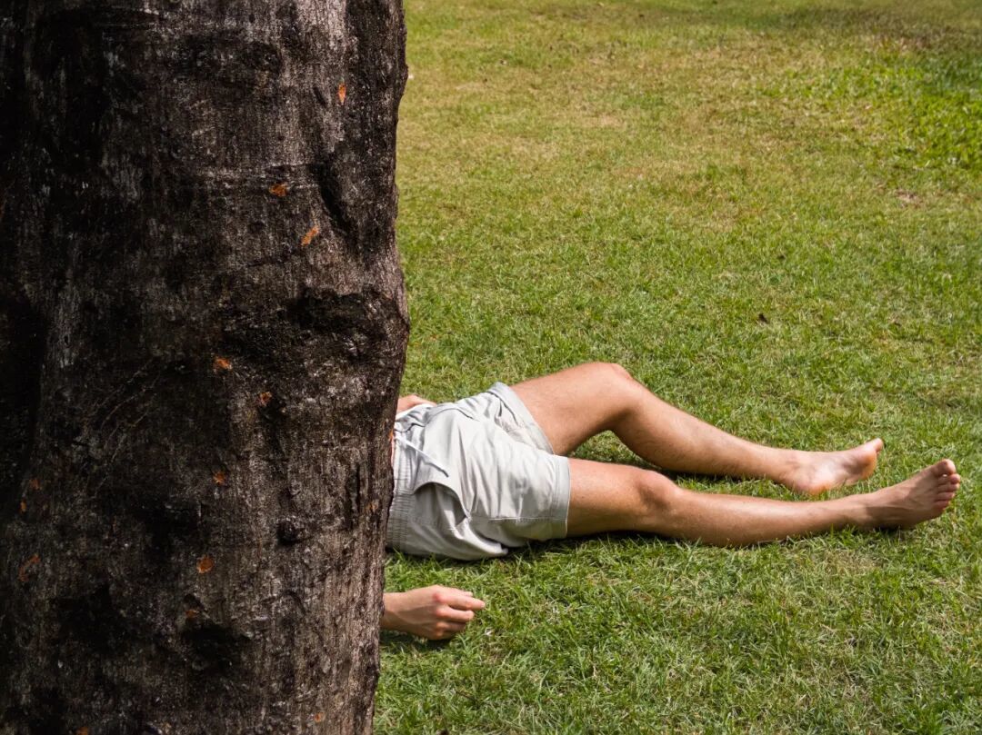 iPhone Air + Indigo:单摄手机迎来文艺复兴