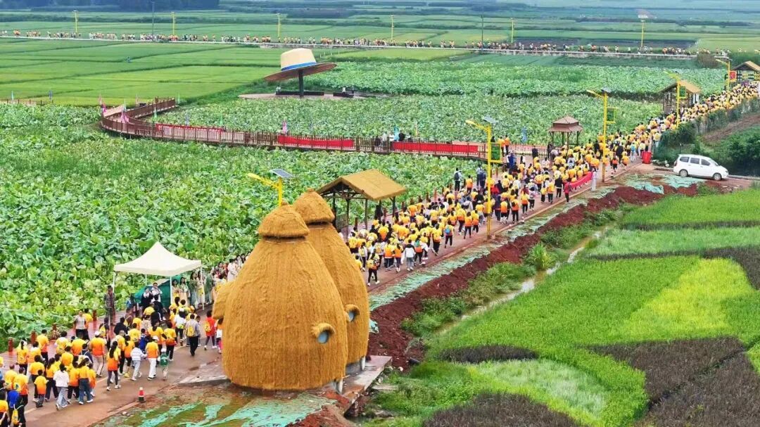 2025年“乌蒙之巅”云南会泽村跑暨云南曲靖四季跑·秋天丰收乐跑季在白雾村举办。曲靖市融媒体中心供图