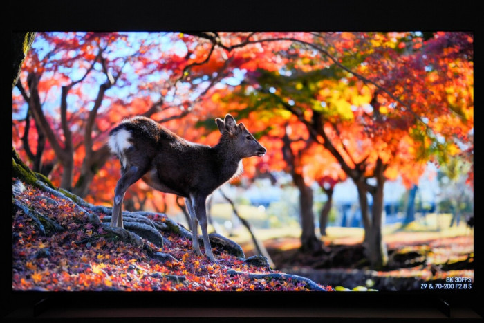 至尊极景 独一无二 TCL Q10L系列Mini LED电视展现第四代液晶电视风采