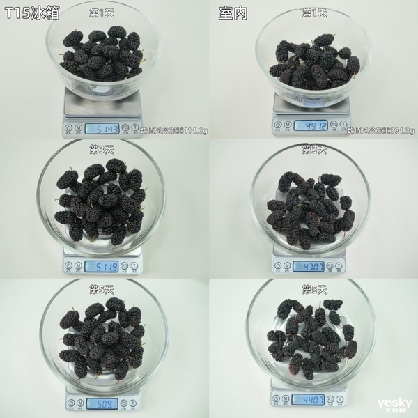 TCL冰麒麟深冷冰箱T15评测:-40℃深冷锁鲜+真双系统,重塑保鲜新高度
