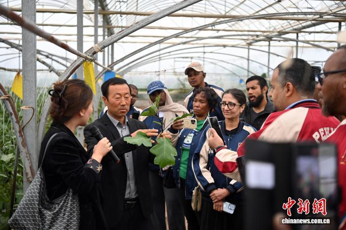 图为学员在皋兰县一农业合作社考察　中新社记者　九美旦增　摄