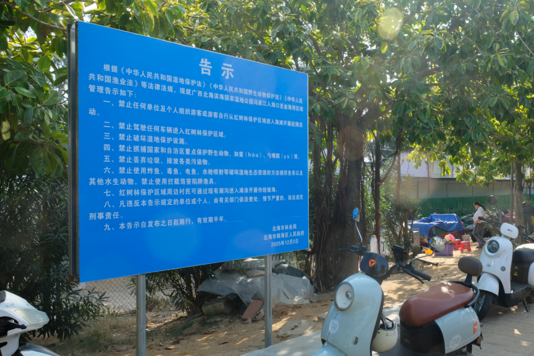 赶海口的公告。