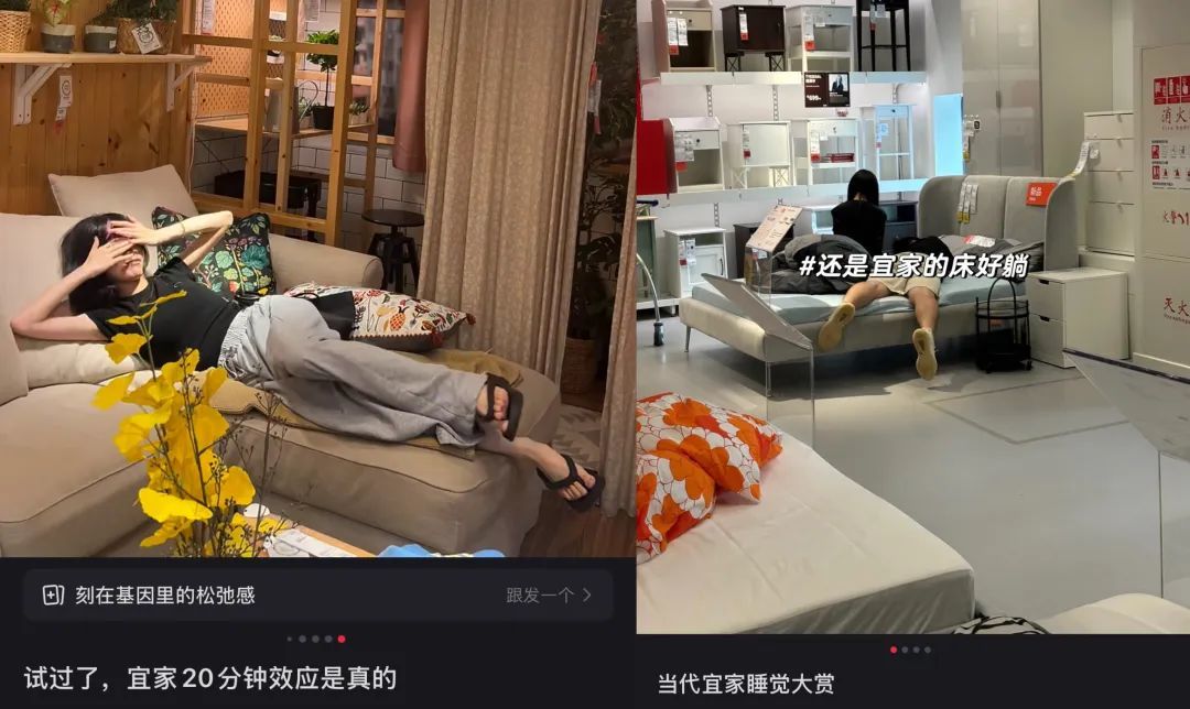 〓图源：@柑橘可乐