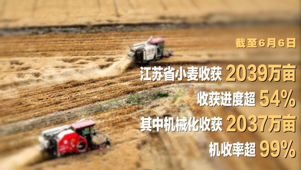 微视频｜“三夏”农忙时节 “数”看各地丰收图景