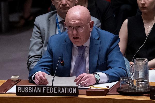 △瓦西里·涅边贾(资料图)