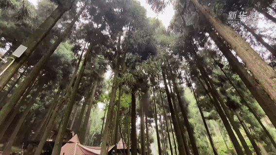 暑期经济观察｜亲近自然享清凉 “绿水青山”释放暑期文旅消费新活力