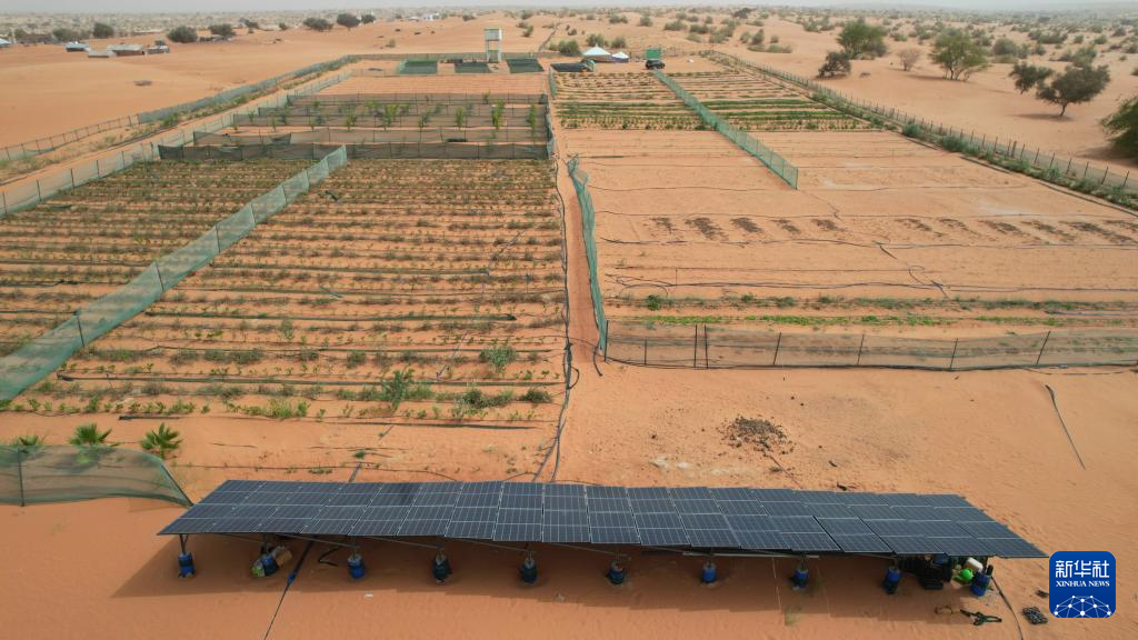 这是5月22日拍摄的位于毛里塔尼亚西部特拉扎区比尔·巴尔卡村的中非绿色技术公园(无人机照片)。新华社记者 司源 摄