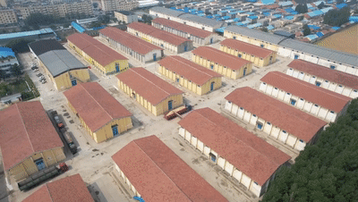 “三夏”生产一线观察｜田间好“丰”景 夏收正当时