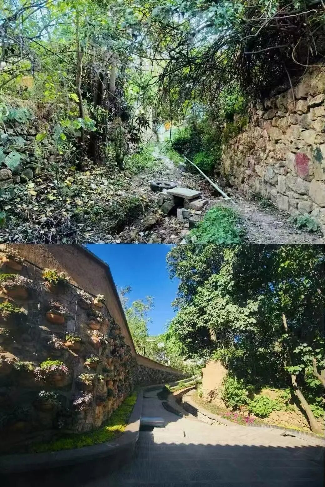 白雾村一角改造前后对比图。会泽县委宣传部供图