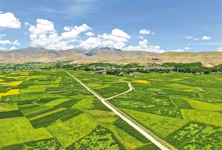 拉萨市尼木县塔荣镇乡村公路。