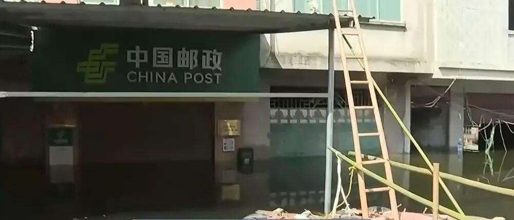 ●陆通闻家的临时出入口。网页截图