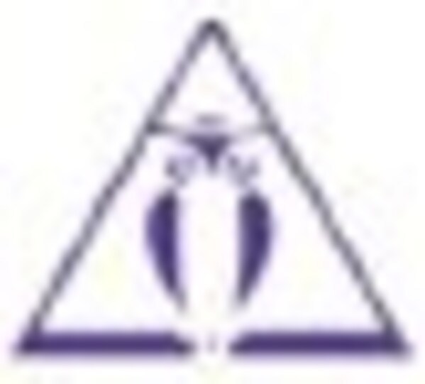 采埃孚诉"杭州伦福德"商标侵权及不正当竞争案件二审胜诉