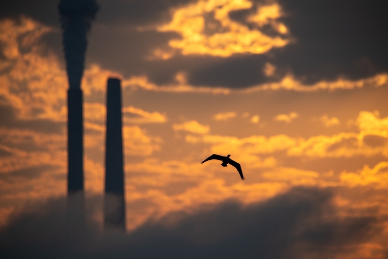 9月18日,美国俄亥俄州辛辛那提市,迈阿密堡发电站烟囱排放的污染物与蒸汽升腾。 IC Photo