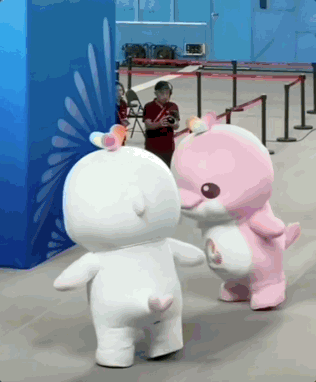 就在今天!第十五届全国运动会开幕!