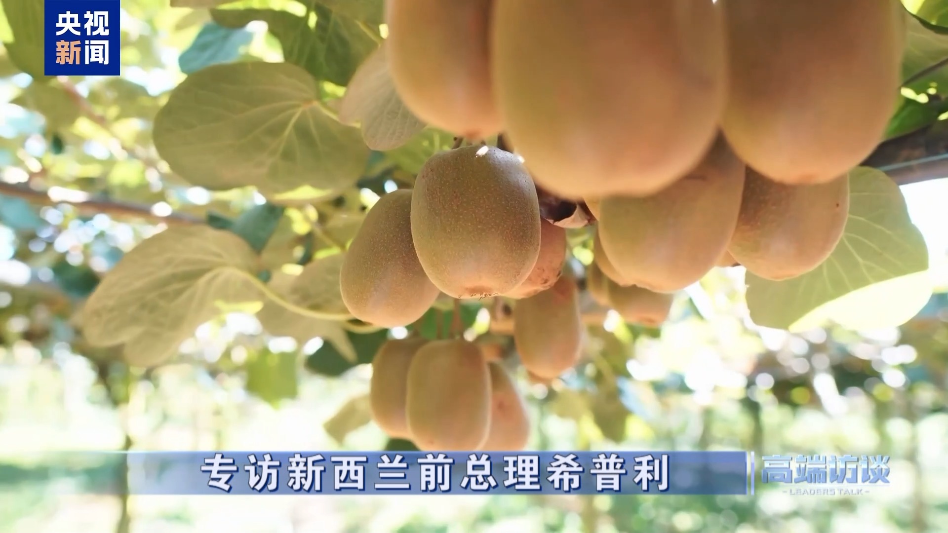 高端访谈丨专访新西兰前总理希普利