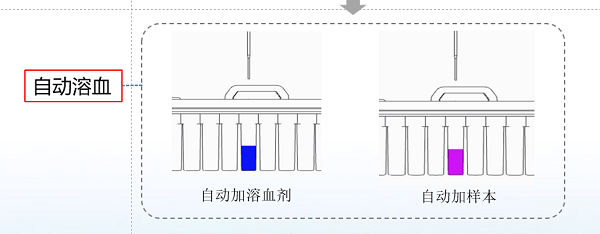 生化怎么通样本针65周岁以上健康体检必查糖化血红蛋白！——哪种检测产品更符合市场风口？_https://www.jmylbn.com_新闻资讯_第6张