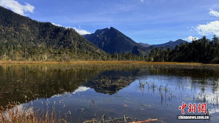 西藏林芝市南伊沟风景。中新网记者 朱延静 摄