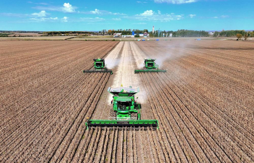 2025“三农”成绩单｜筑牢粮安“压舱石” 守护民生“基本盘”