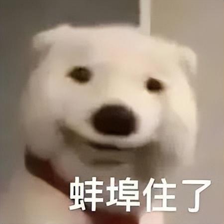 去年5000的手机现在2000多,这些手机真的跌疯了