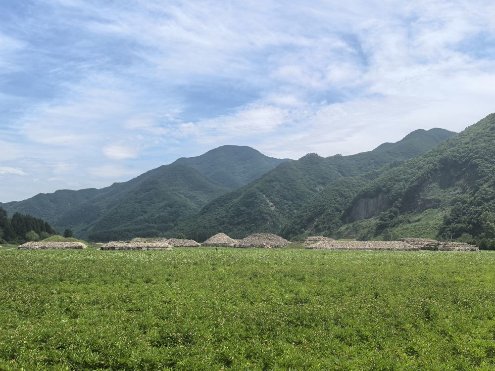 在高句丽古墓博物馆，众多墓葬有序排列。新华社记者 孙鹏程 摄