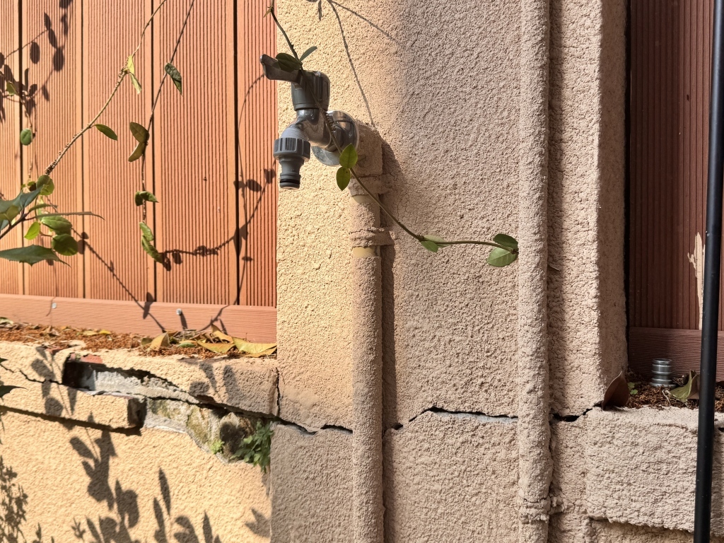 孙女士家院墙开裂。澎湃新闻记者 蒋乐来 图