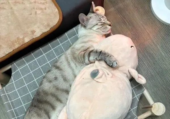 ▲(图/网友@eg841021提供,请勿随意翻拍,以免侵权。 )