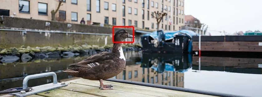 便携中画幅的极致影像 富士GFX100RF评测