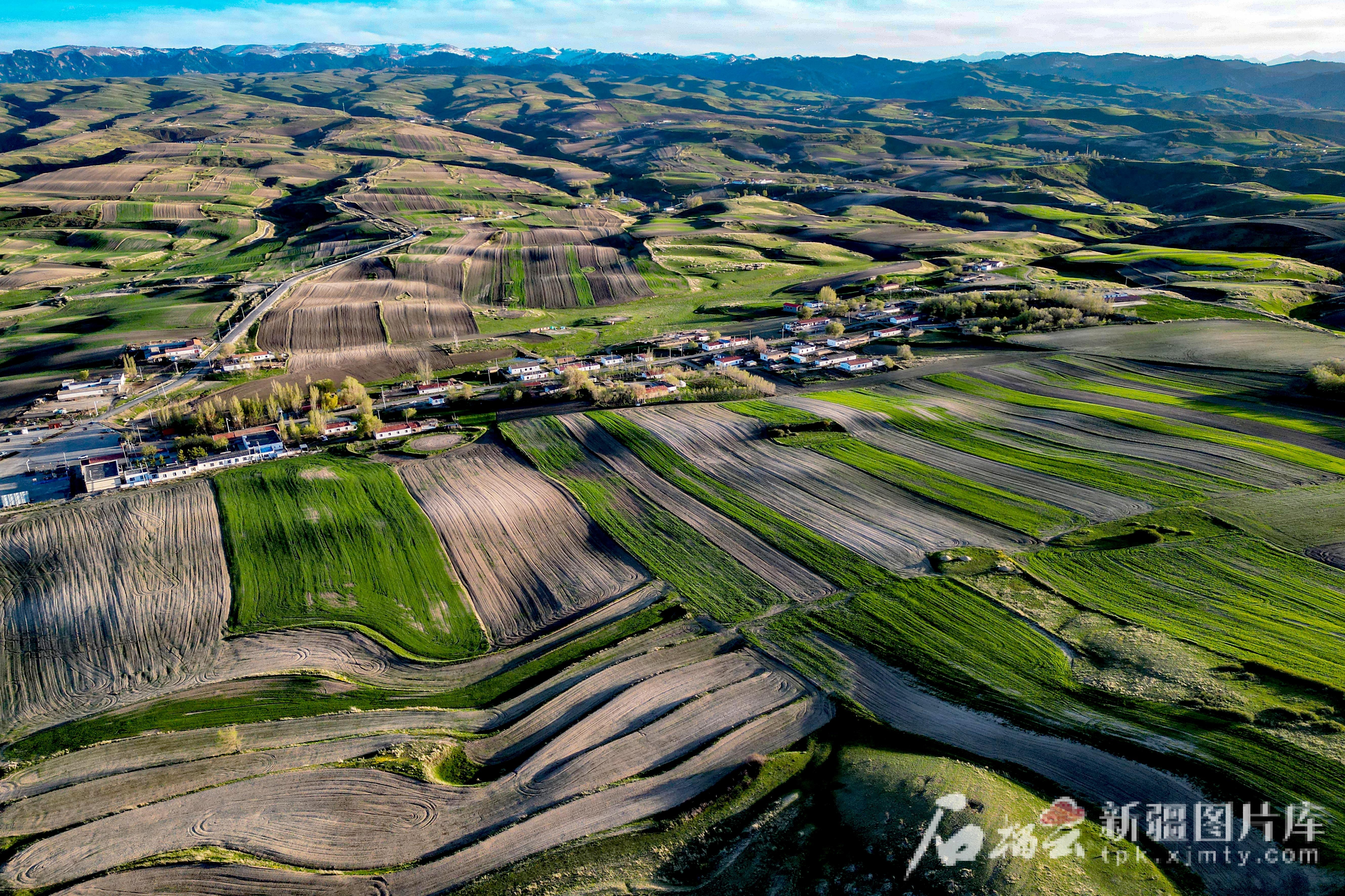 5月8日，在木垒哈萨克自治县照壁山乡平顶山村拍摄的万亩旱田景观。