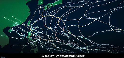 00后,主动卷入风暴