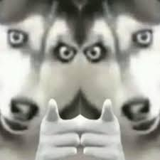 再吹“智驾”可能判刑!车企真要挨铁拳了