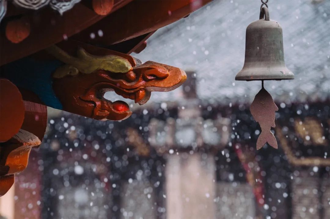 ▲鱼游空林(摄影:谢小立)