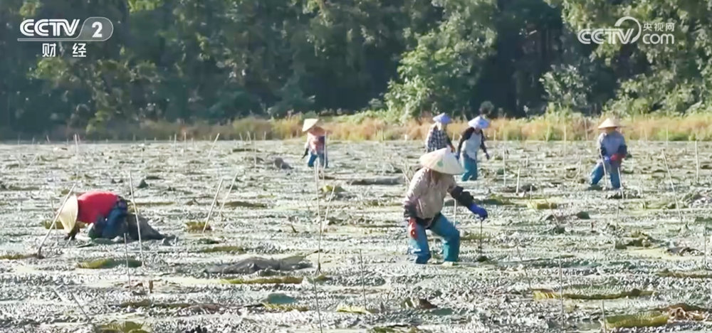 E71B08B8462E2BD4C7D48DBE17986C954DE5421B_size153_w1000_h468