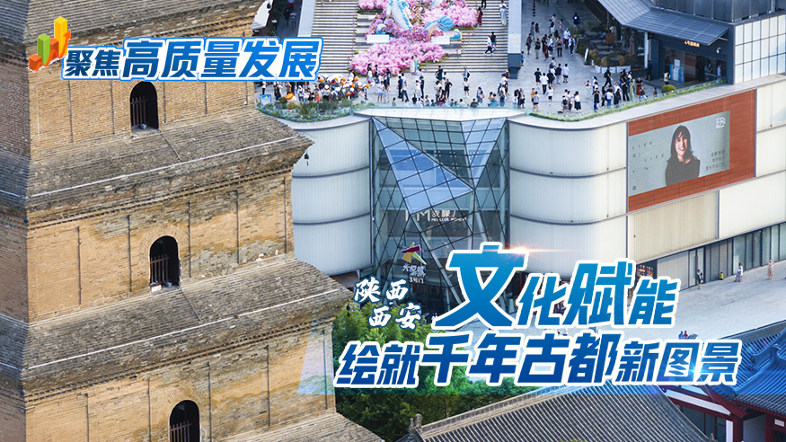 聚焦高质量发展丨陕西西安：文化赋能绘就千年古都新图景