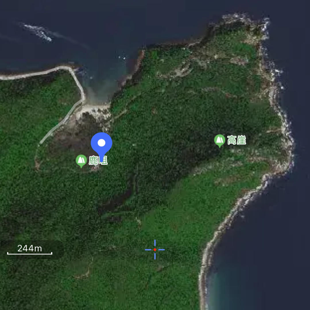 ▲钟某军失联的林区 图据网络