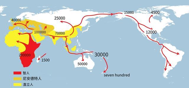 直立人、尼安德特、智人扩散的时间和最大扩散范围