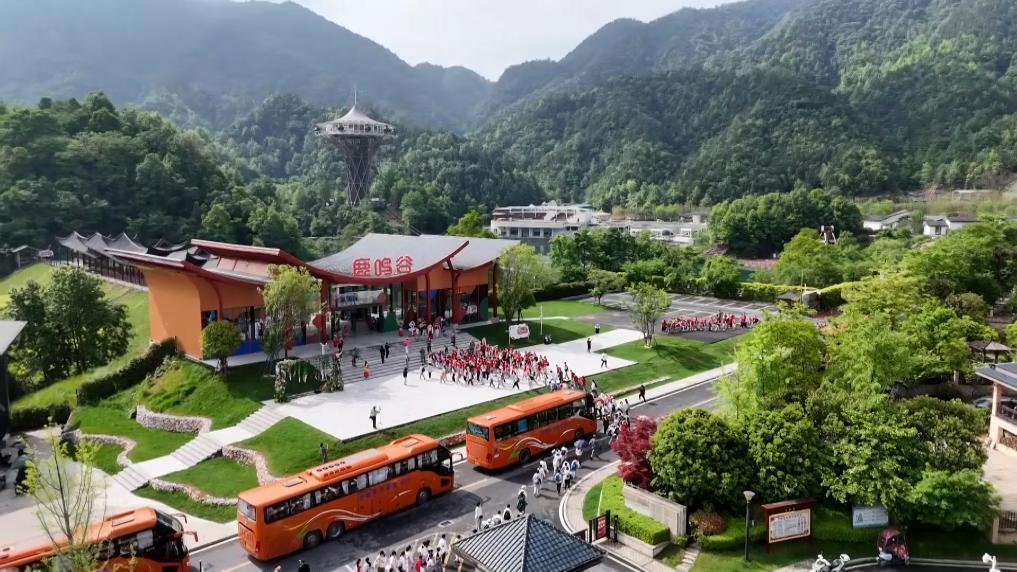 研学游团队有序进入修水县鹿鸣谷景区。新华社记者 郭杰文 摄
