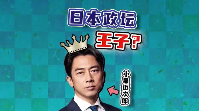 日本政坛王子回归！解读小泉进次郎 最帅议员能否改变米价？