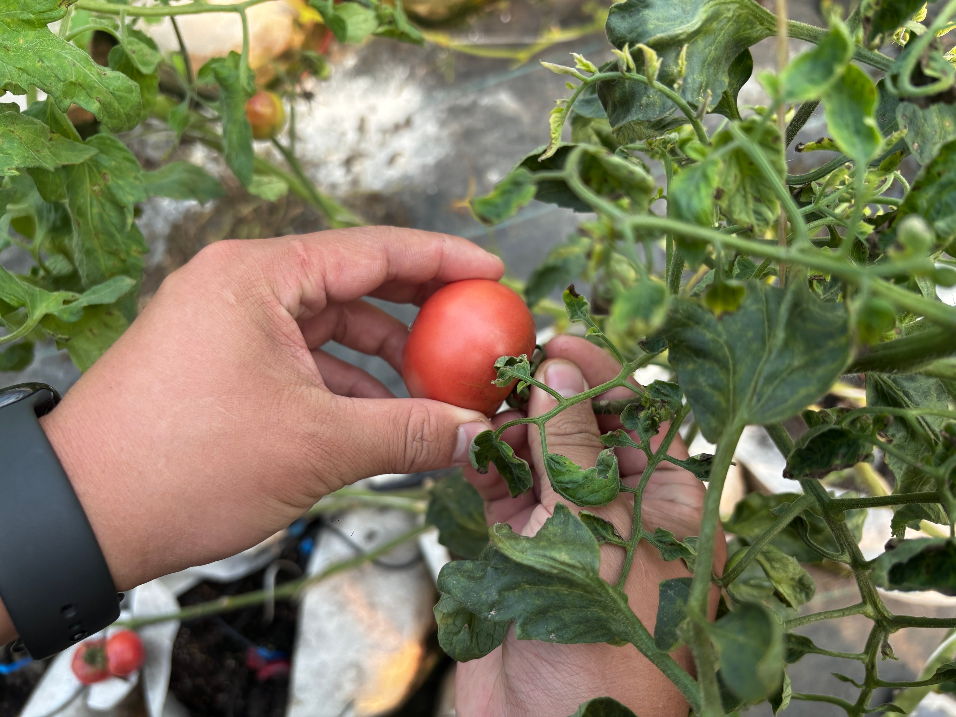 微信图片_20251114225508_335_200