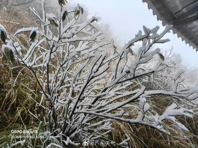 零下1度!广东结冰了