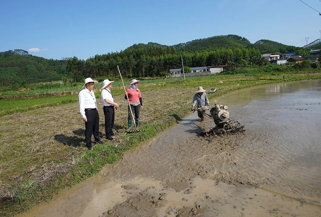 4月28日,广西融水镇东良村,农民正在抓紧春耕。图/视觉中国