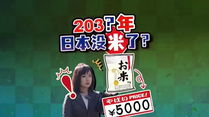 日本米价暴涨70%，高市却喊100%自给，未来恐现吃米难
