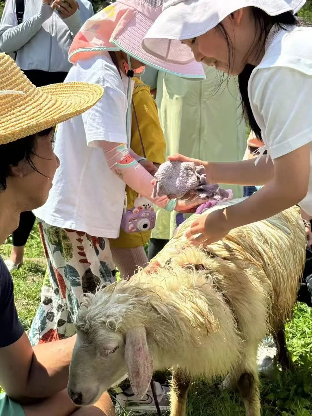 我32岁,海归硕士,现已流浪街头