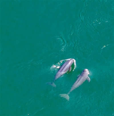 生态文明建设实现新进步(新时代画卷·决战决胜“十四五”)