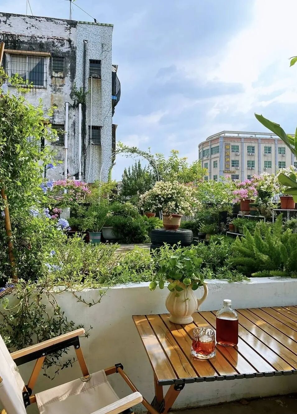 孙兰在天台上精心布置的花园。(图_受访者供图)