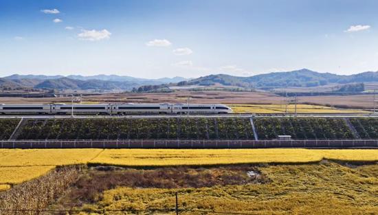 沈佳高铁。来源:沈阳铁路